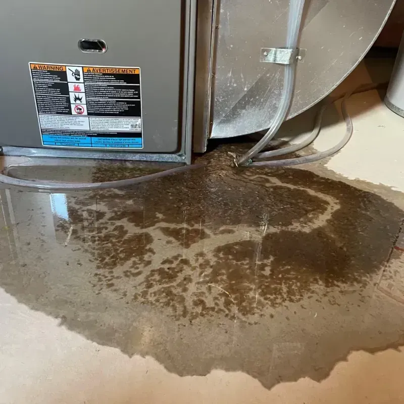 Appliance Leak Cleanup in East Stroudsburg, PA